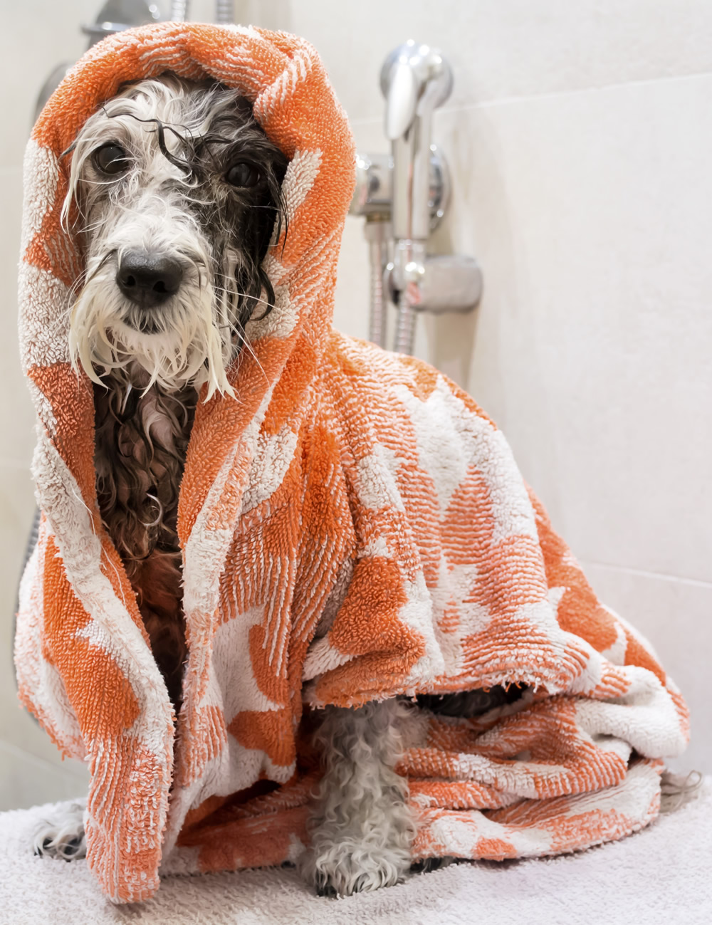 tog in towel